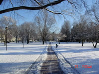 commercial road salting