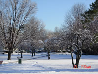 snow removal