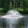 commercial landscaping-970524