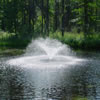 commercial landscaping-970525