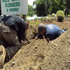 irrigation -09sh6