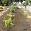 irrigation -09sh8
