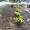 irrigation -09sh10