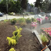 irrigation -09sh11