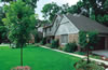 irrigation -rain-HouseBeauty97