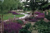 irrigation -rain-Path95