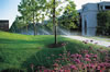 irrigation -rain-SpraysCommercial92