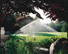 irrigation -rain-TwoRotors91
