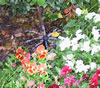 irrigation -sprays-comm_spray_382