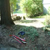landscaping -05c9