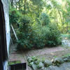 landscaping -05c10