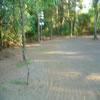 landscaping -09L1
