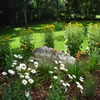 landscaping -09L7