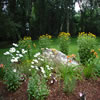 landscaping -09L8
