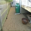 landscaping -09m1