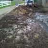 landscaping -09m4