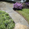 landscaping -09z22