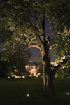 lighting -10port7