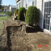 walkways and driveways -02j4